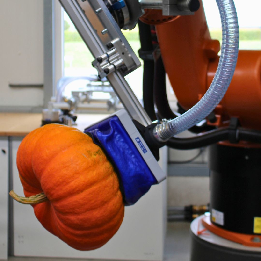 FH-E3020 greift großen Kürbis